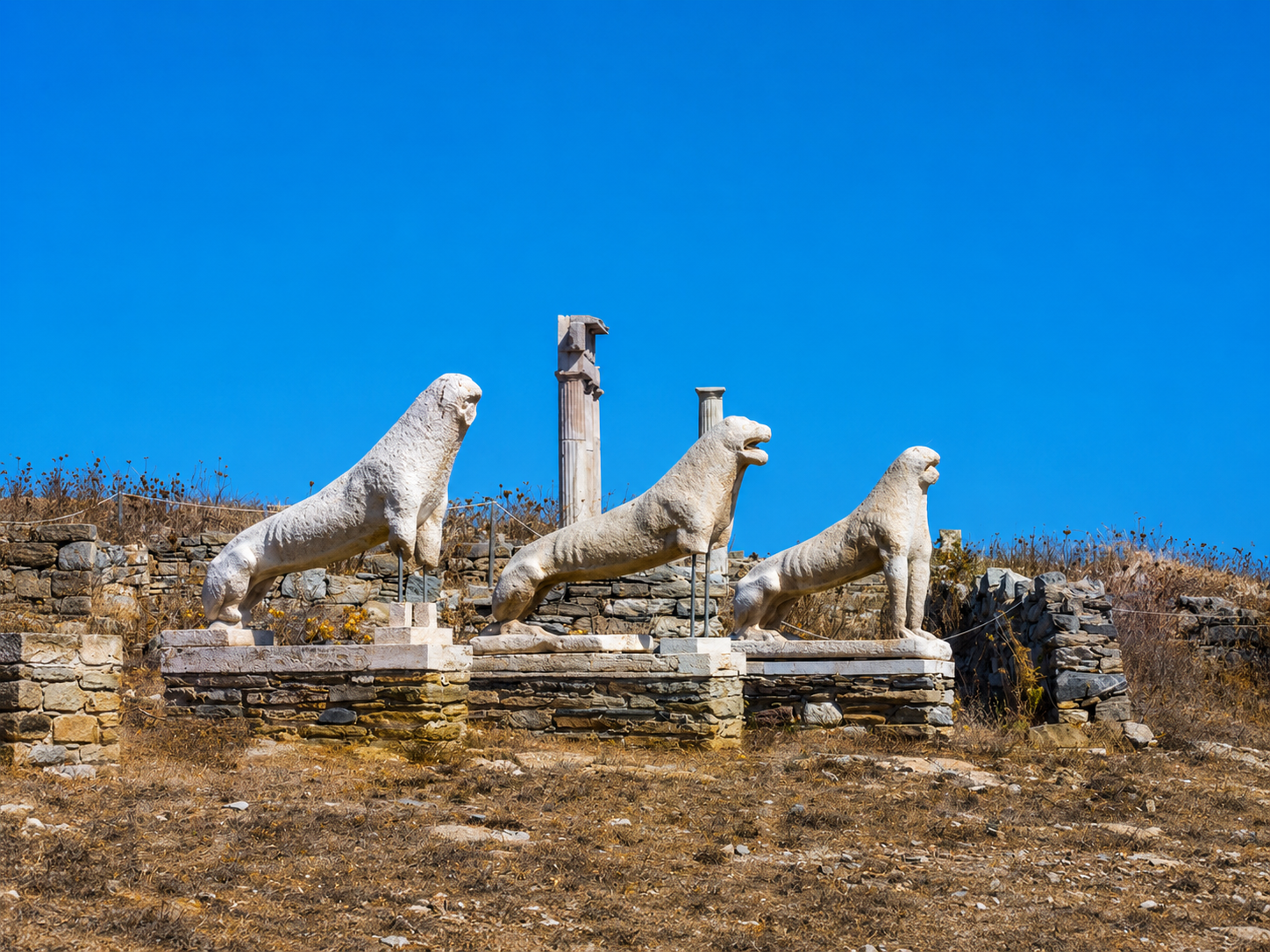 Delos & Mykonos Boat Excursion from Naxos